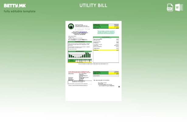 Модерен стил шаблон за комунални сметки за енергија на Светиот крст на САД Колор